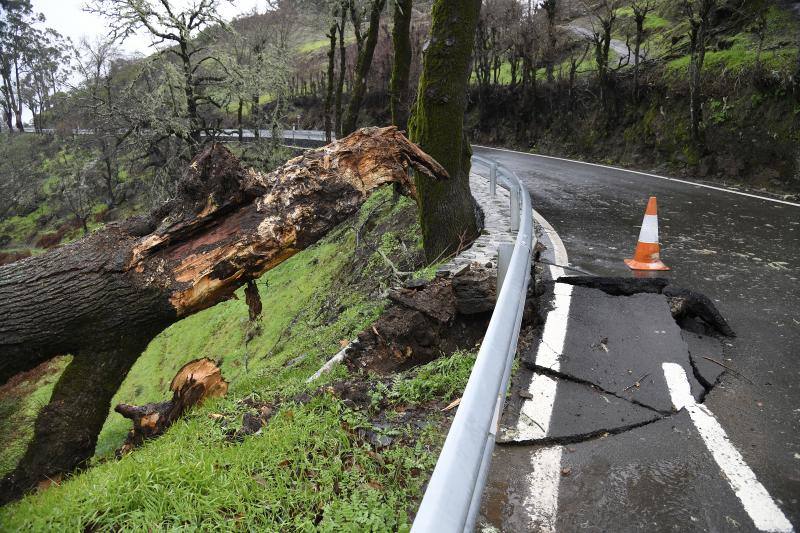 Fotos: Filomena deja mucha agua, viento y frío