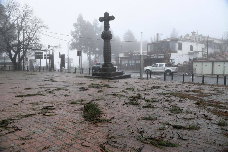 Fotos: Filomena deja mucha agua, viento y frío