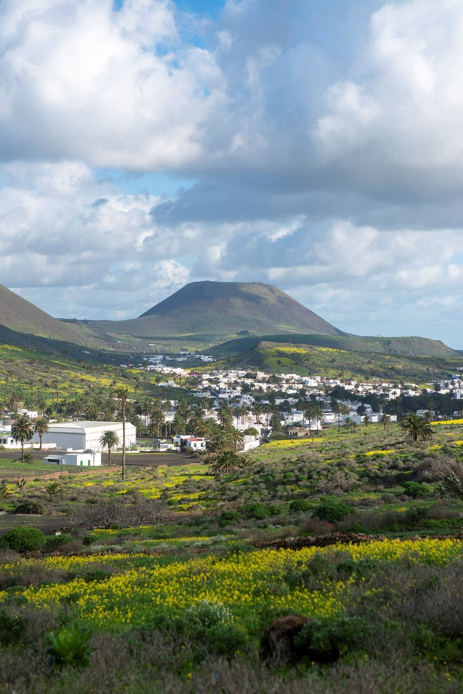 Fotos: El paso de Filomena tiñe de verde el paisaje volcánico de Lanzarote