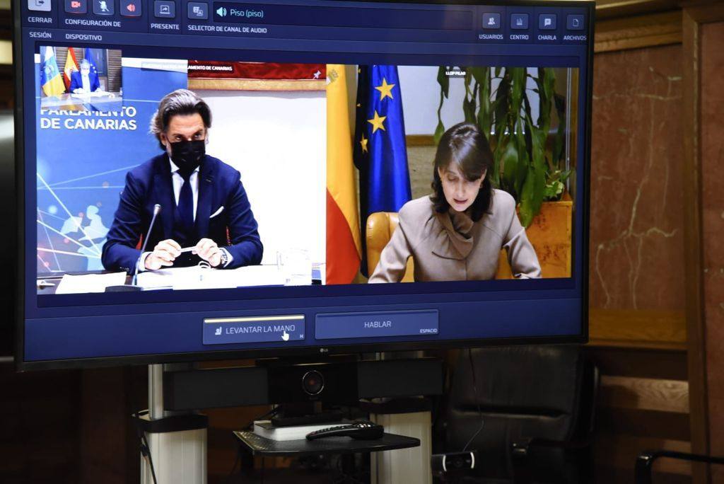 Imagen de Gustavo Matos y la presidenta del Senado durante la videoconferencia. 