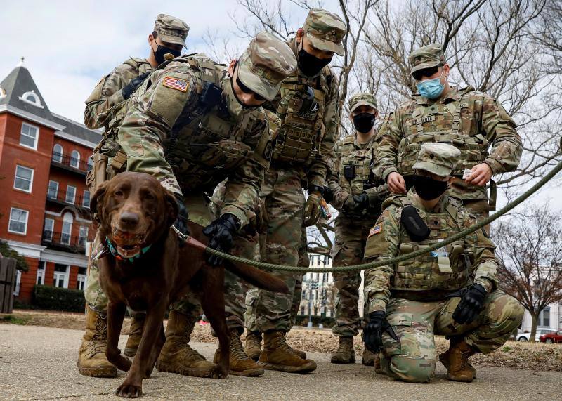 La Guardia Nacional utiliza perros especializados en detectar explosivos.