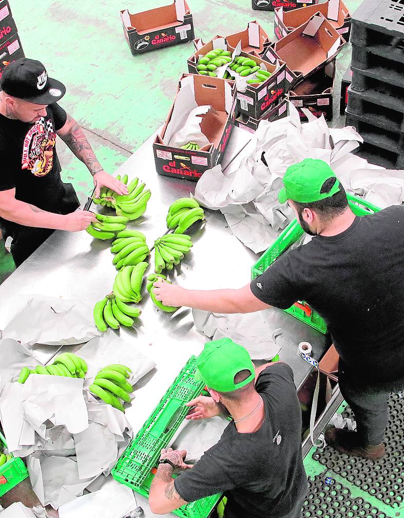 ¿Cómo intepretar correctamente el contexto actual para reinventar la agricultura del futuro?