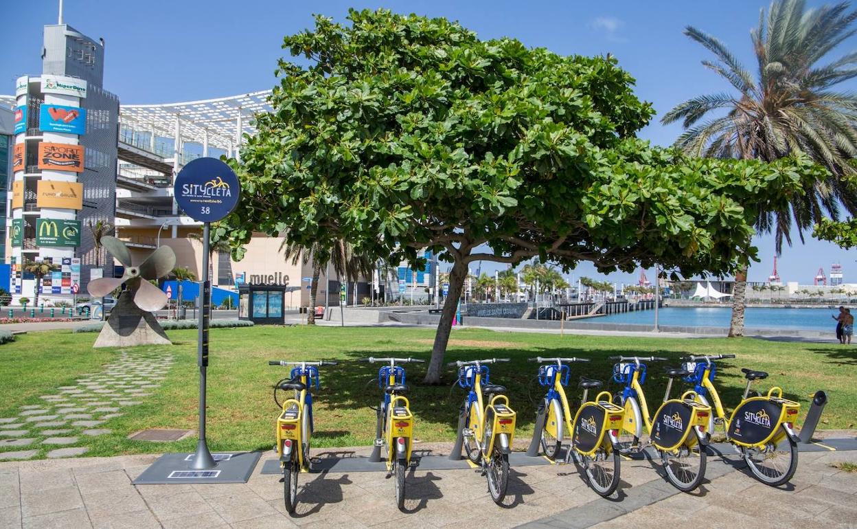 Sítycleta amplía su horario para atender la alta demanda