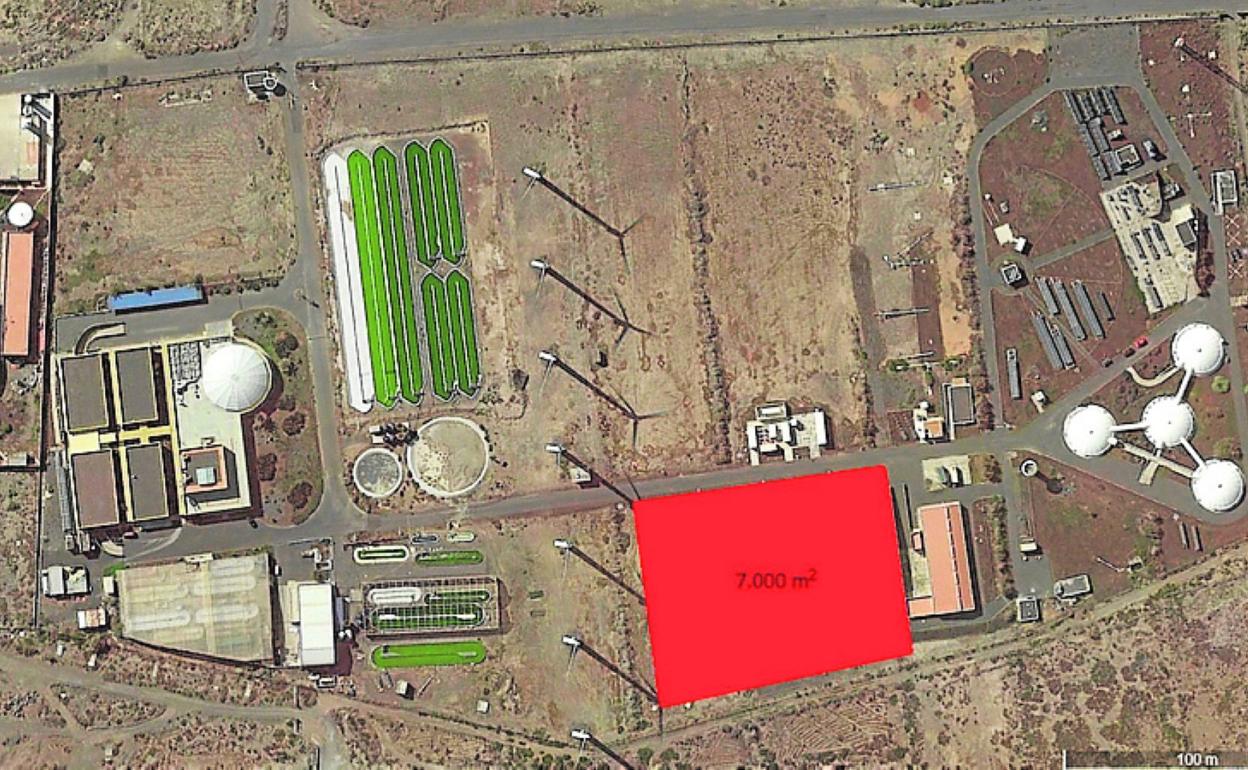 En rojo, parcela reservada para la incubadora en Pozo Izquierdo. 