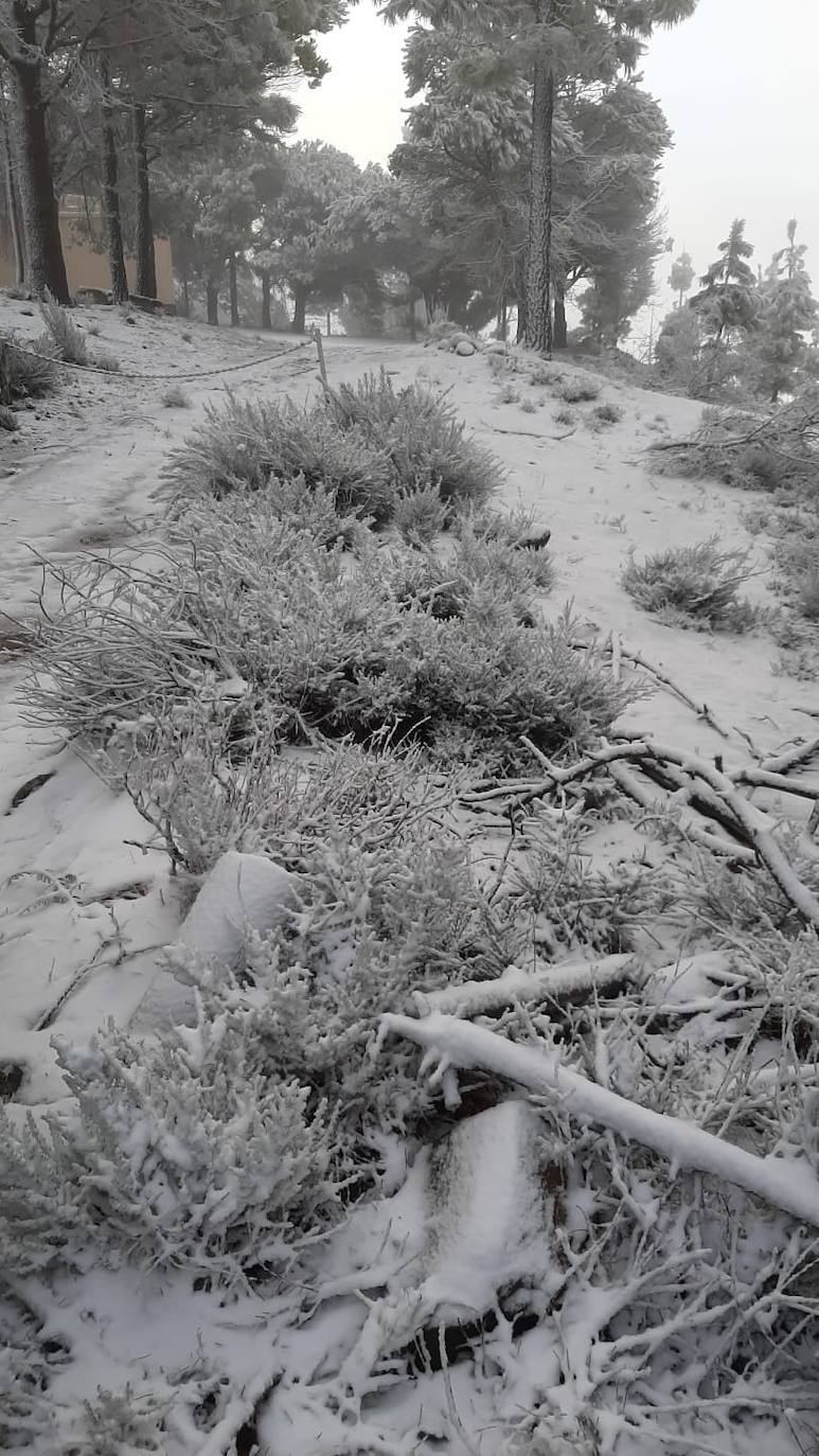 Fotos: La cumbre se tiñe de blanco