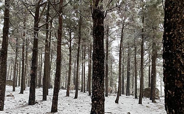 Imagen de la cumbre de Gran Canaria. 