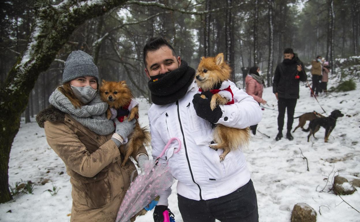 Desobediencia glacial de cientos de curiosos