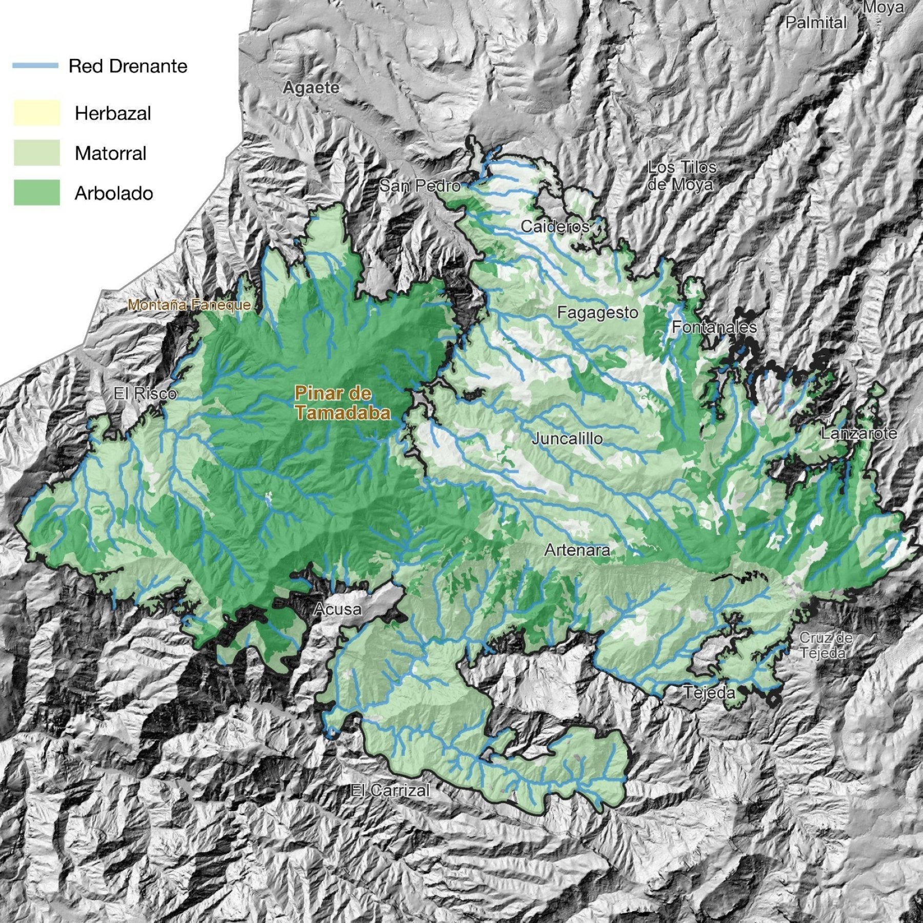 Mapa de la zona quemada en agosto de 2019 y de su red drenante, por tipos de vegetación. 