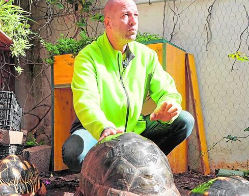 David Cuevas se desvive para que sus casi 200 tortugas vivan en las mejores condiciones posibles. 