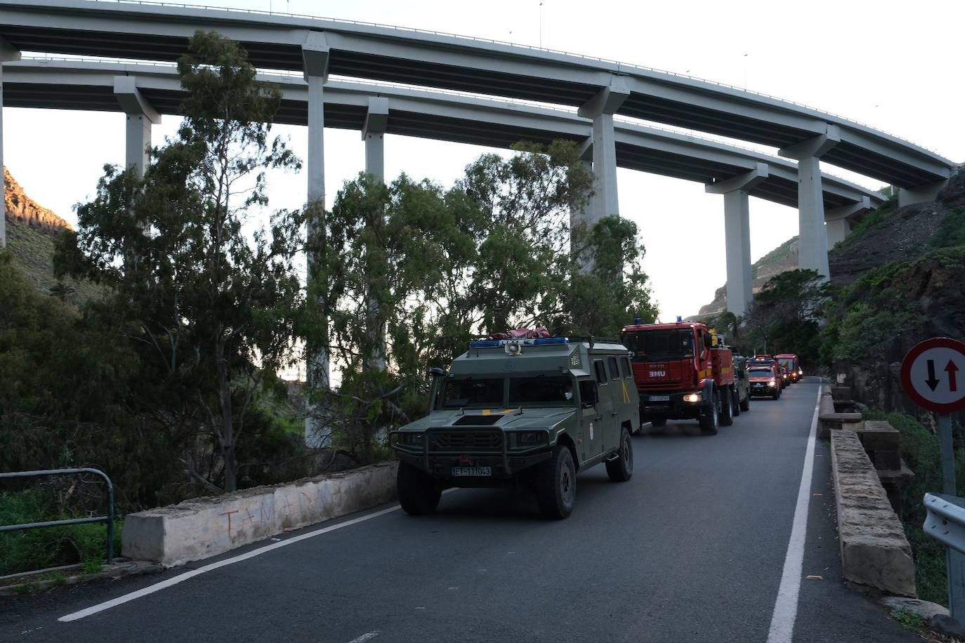 Búsqueda de Juani Ramos. 