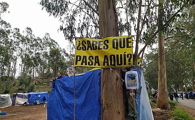 Imagen principal - «La situación en Las Raíces es bastante desesperante»