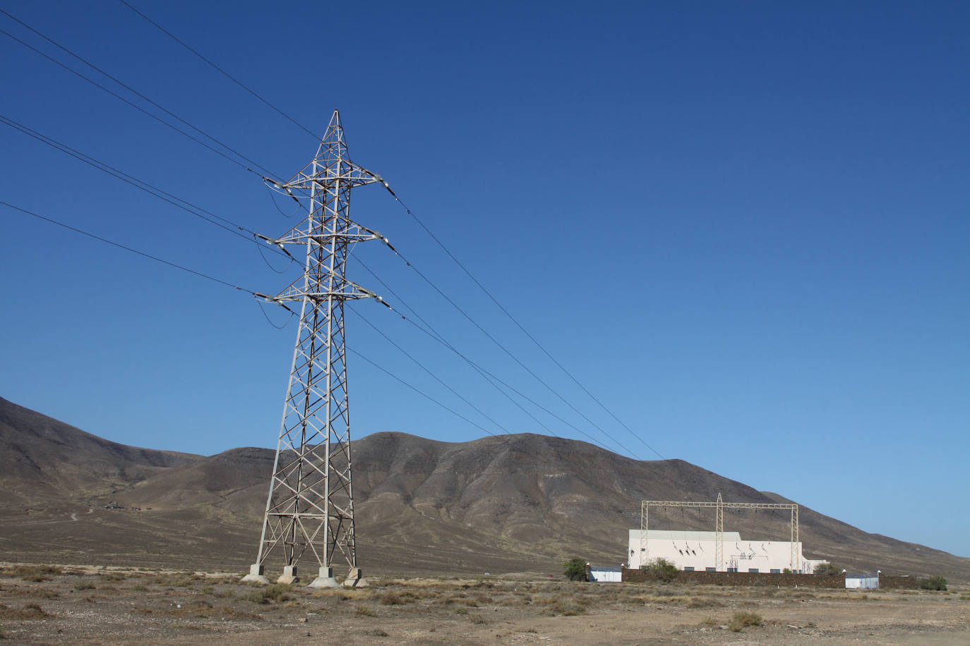 Endesa corregirá 132 apoyos de líneas eléctricas para proteger la avifauna