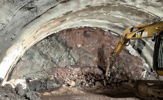 Investigan restos de un árbol fosilizado hallado en las obras de la vía a La Aldea