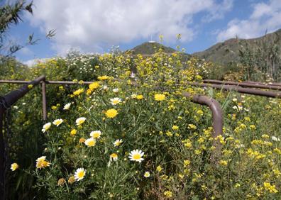 Imagen secundaria 1 - Propuesta para Semana Santa: hoy, Valsequillo