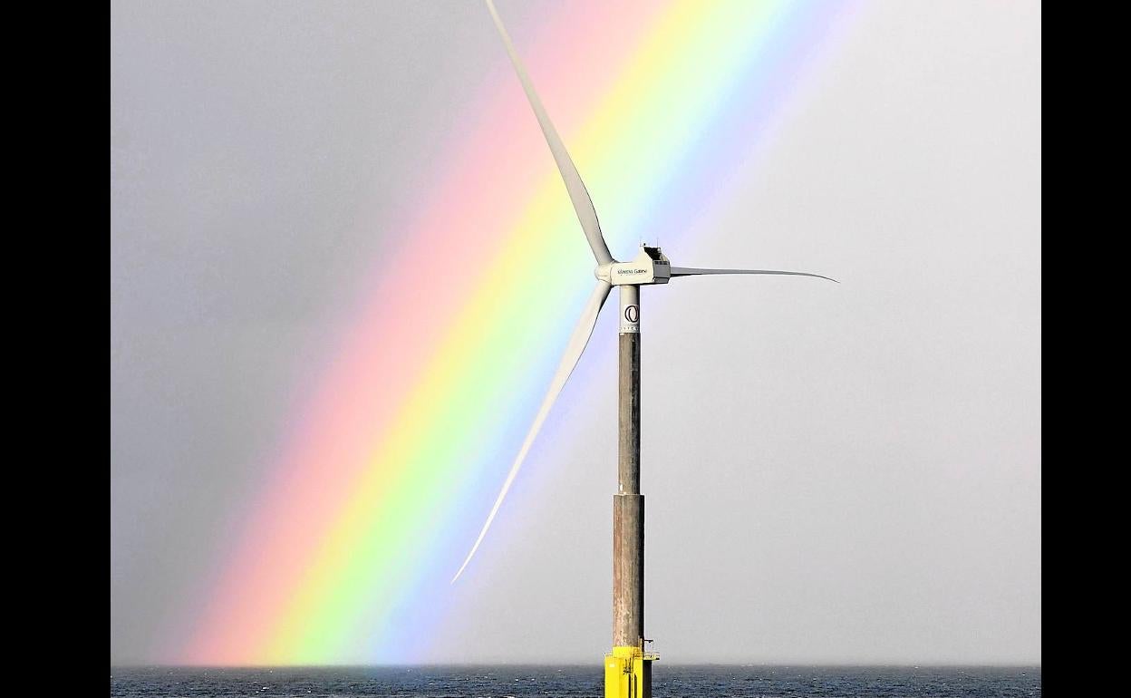 Descargue el suplemento completo Especial Energía, Eficiencia y Sostenibilidad en formato pdf