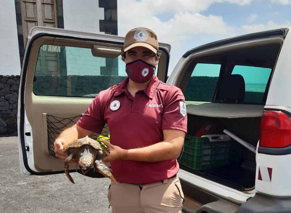 Agente de Medio Ambiente con la tortuga rescatada.