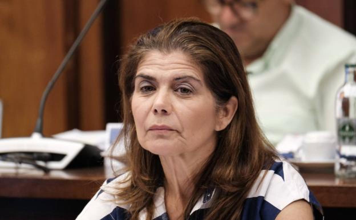 Inés Miranda, consejera de Política Territorial del Cabildo, en una sesión plenaria. 