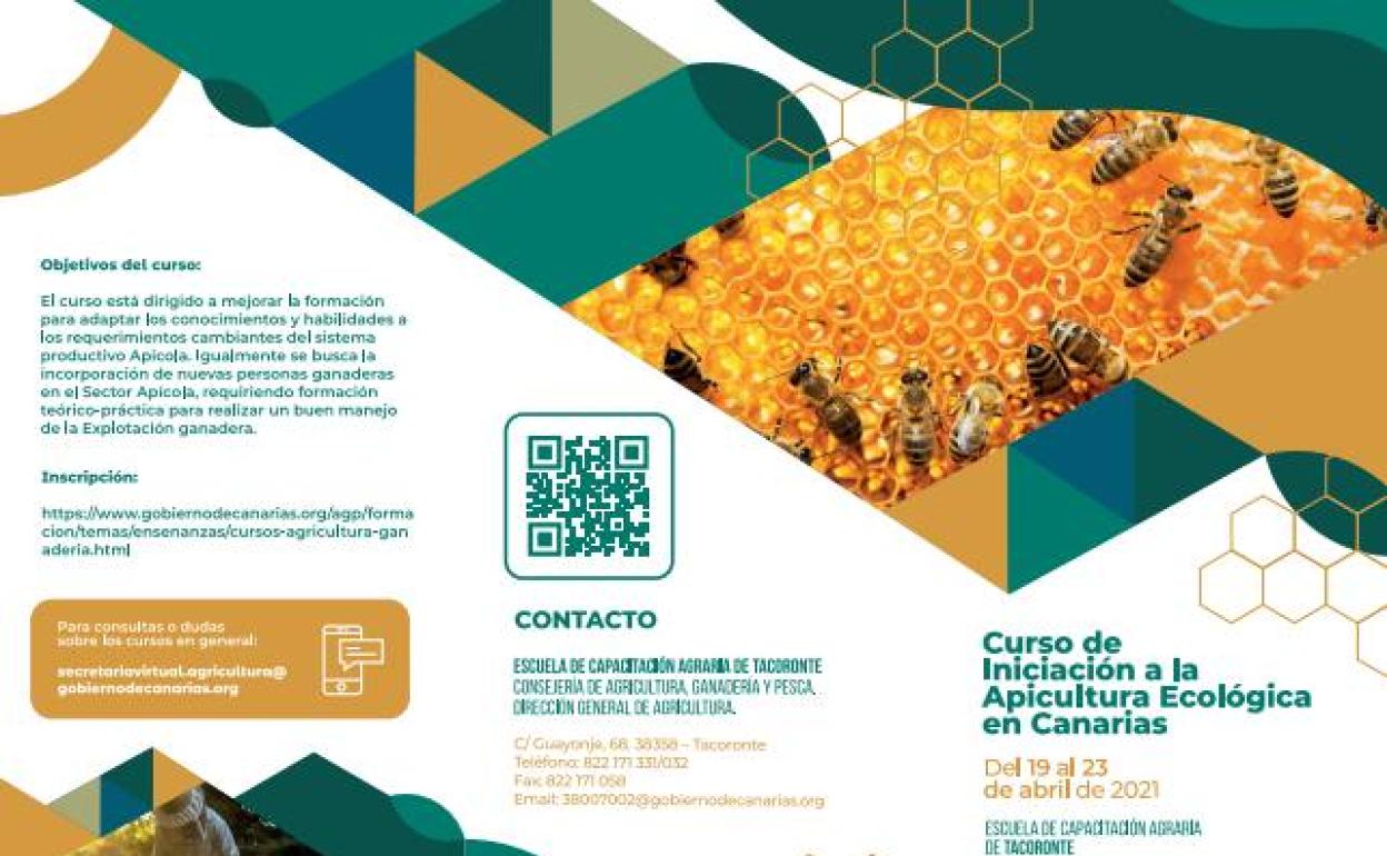 La Consejería impulsa la formación en apicultura ecológica