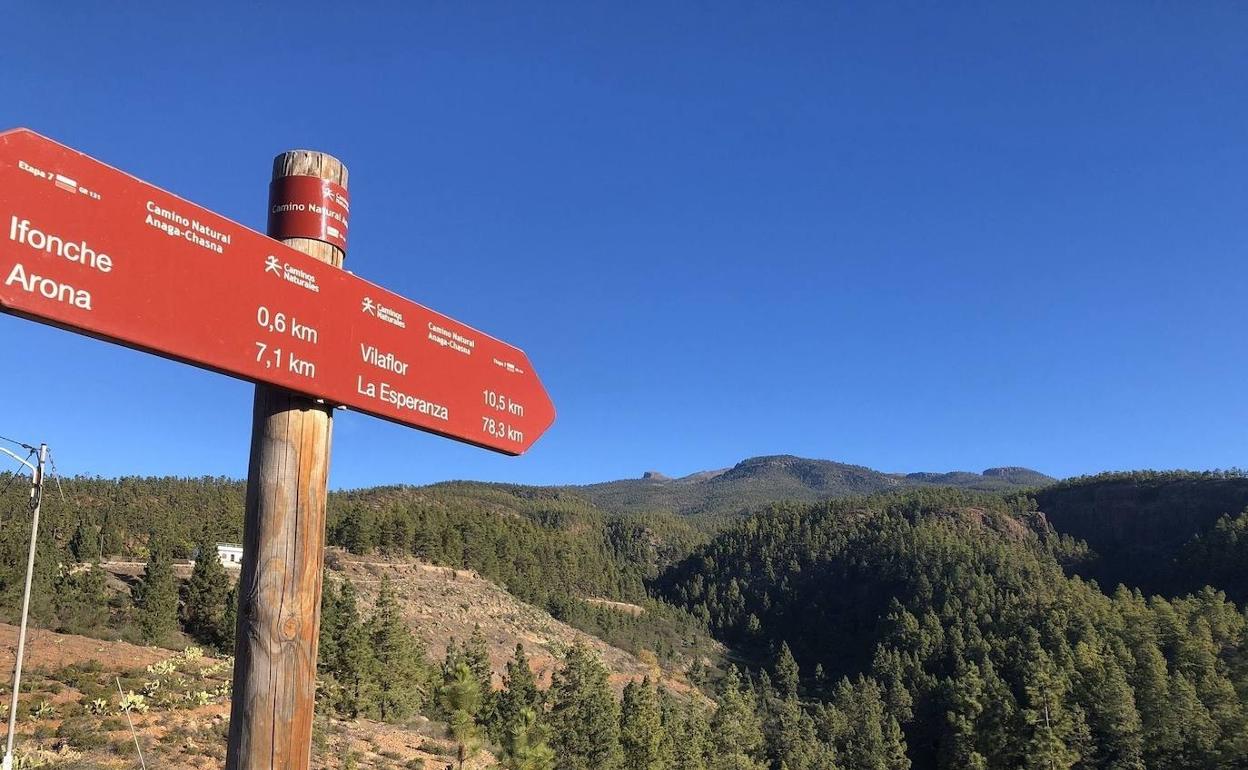Muere un senderista en Adeje tras precipitarse desde una gran altura