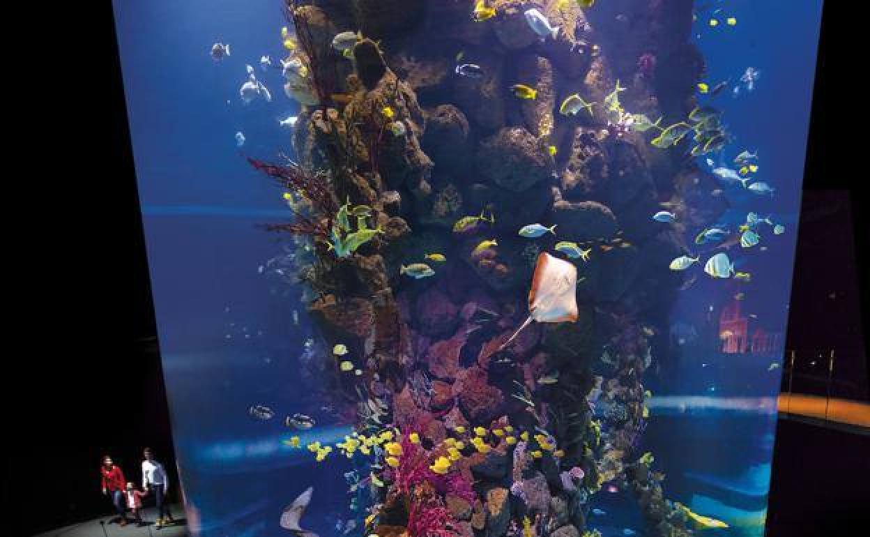 Poema del Mar reabrirá el 1 de mayo