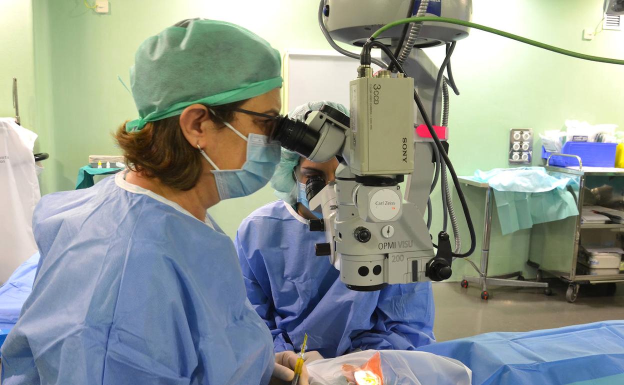 Momento de la intervención. 