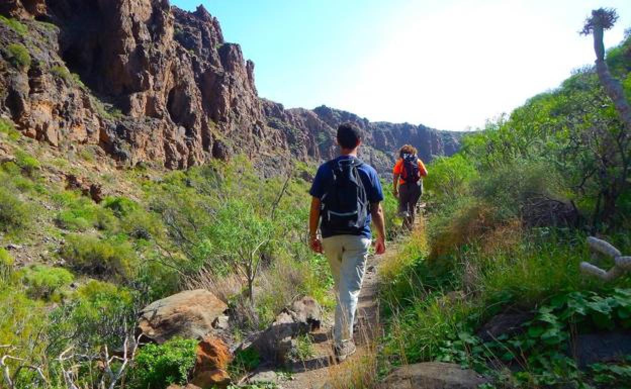Caminantes en el sendero circular del macizo de Amurga. 