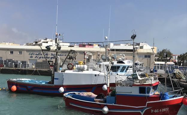 CC demanda aumentar la cuota de tuna hasta las 4.500 toneladas para «salvar» la flota canaria artesanal 