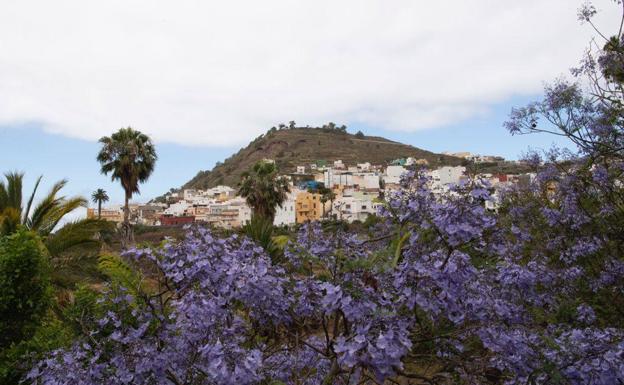 Imágenes de Arucas. 