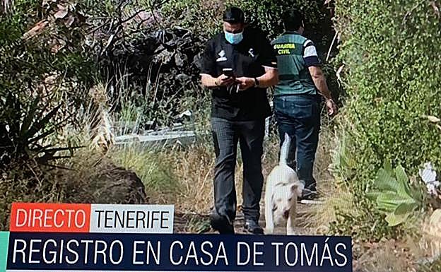 Uno de los perros que rastrea posibles pistas en la finca de Gimeno. 