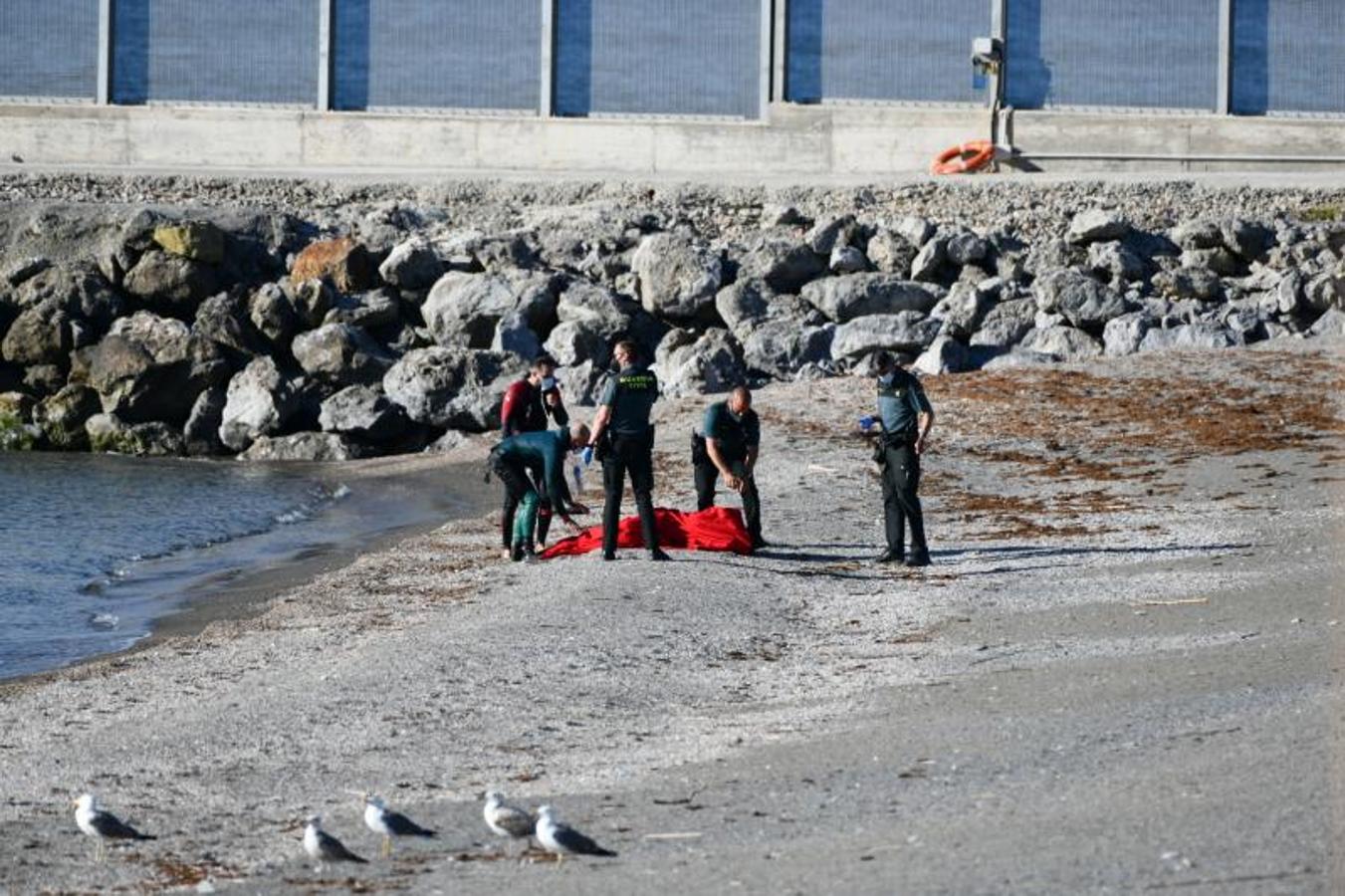 Agentes de la Guardia Civil atienden sobre la playa a un migrante desfallecido.