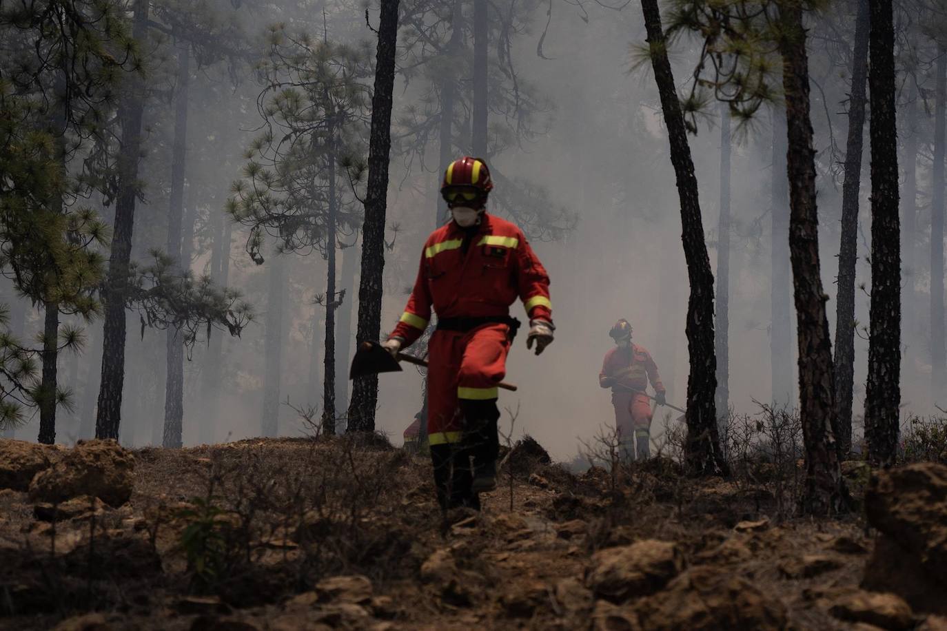 Fotos: Miembros de la Unidad Militar de Emergencias UME participan en las labores de extinción en ell incendio de Arico.