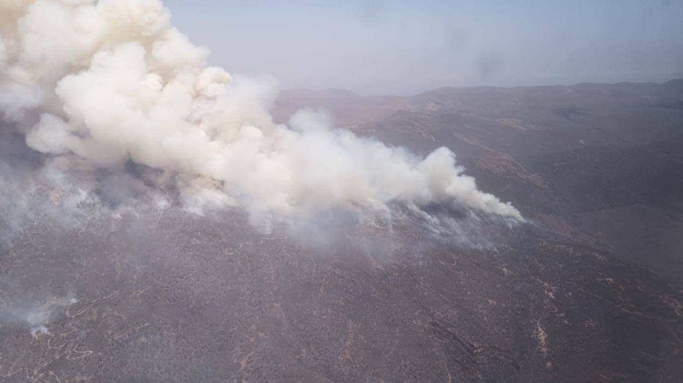 Imagen principal - El incendio de Arico abarca 1.100 hectáreas y preocupa el flanco de Granadilla