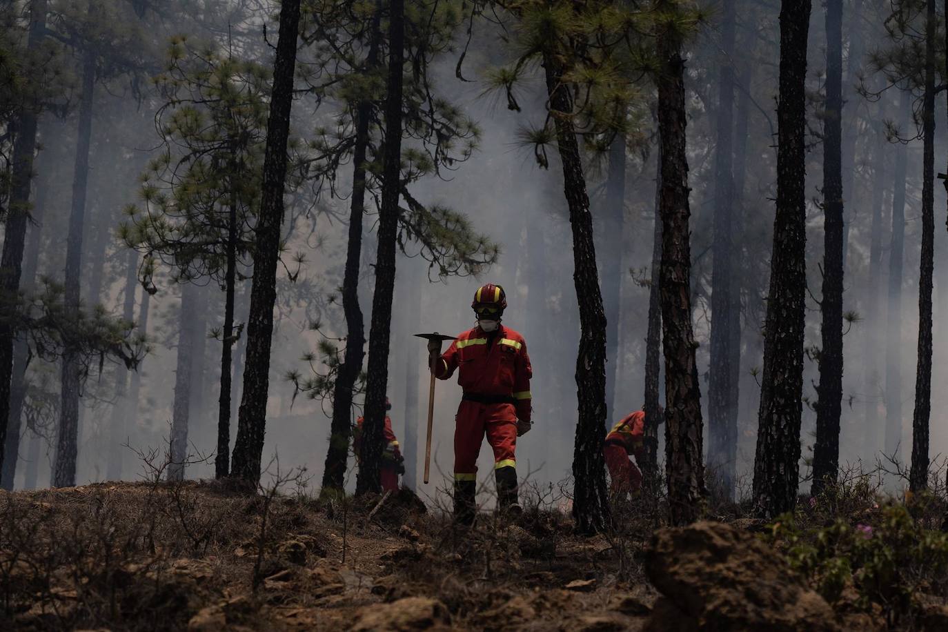 Fotos: Miembros de la Unidad Militar de Emergencias UME participan en las labores de extinción en ell incendio de Arico.