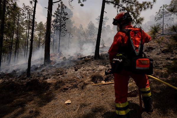 Miembros de la Unidad Militar de Emergencias UME participan este viernes en las labores de extinción del incendio que afecta desde ayer al municipio tinerfeño de Arico. 