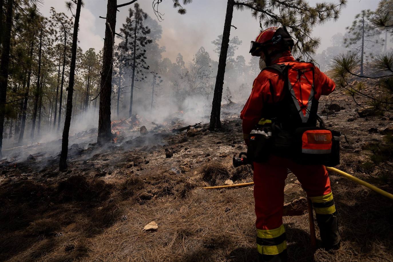Fotos: Miembros de la Unidad Militar de Emergencias UME participan en las labores de extinción en ell incendio de Arico.