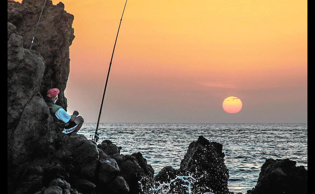 Descargue el suplemento completo Especial Día de Canarias en formato pdf