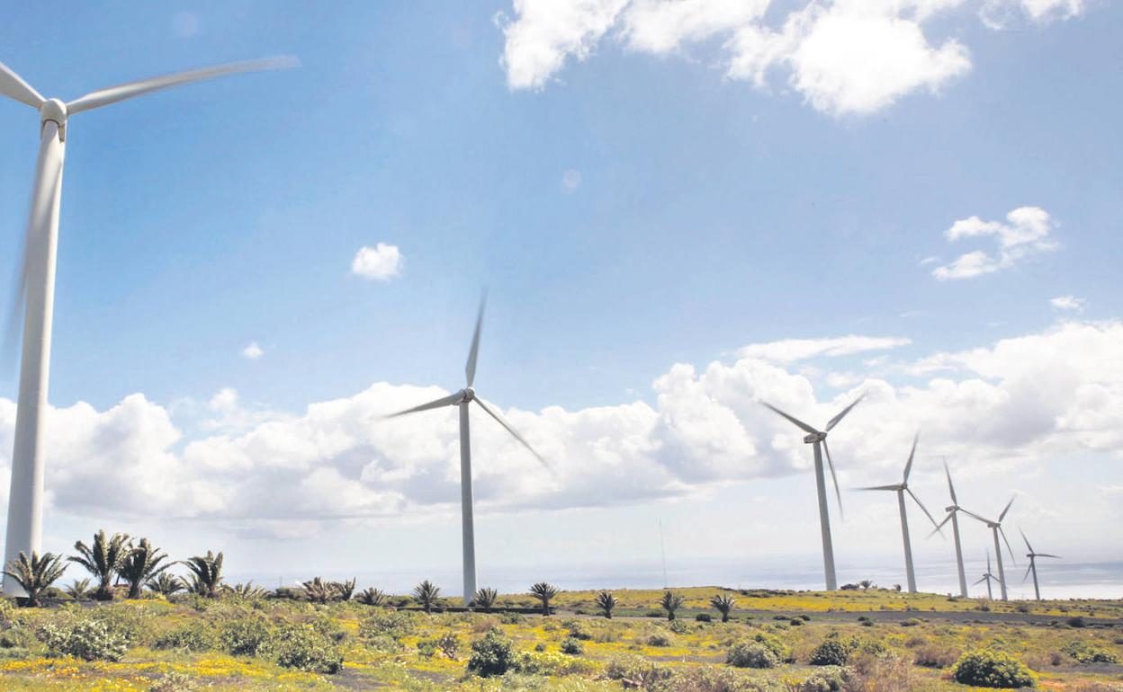 En el sureste de Gran Canaria se ha ido desarrollando una importante cultura de conocimiento de la energía eólica.