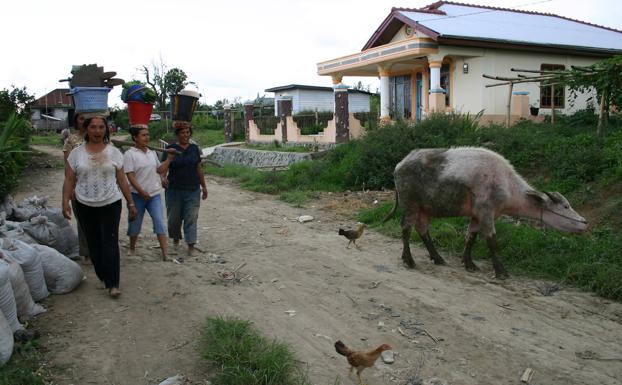 Las aves y otros animales conviven con las personas en pueblos del Sudeste Asiático y otros lugares en desarrollo como Kubu Simbelang, la aldea de Indonesia donde hubo contagios entre humanos de la gripe aviar H5N1 en 2006.