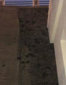 Imagen secundaria 2 - Excrementos y piedras que caen desde el muro que habitan las palomas, sobre todo de noche. 
