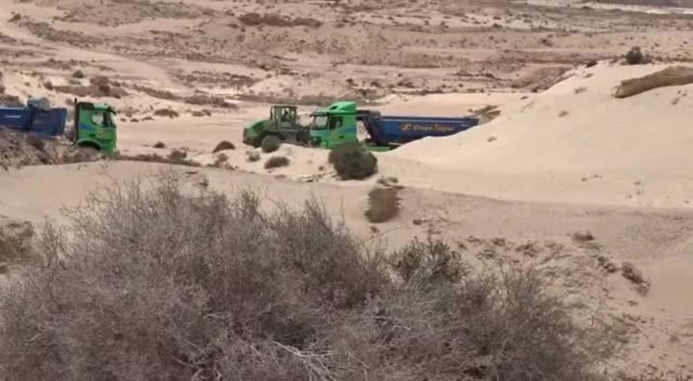 Imagen de las extracciones denunciadas ante el Seprona.