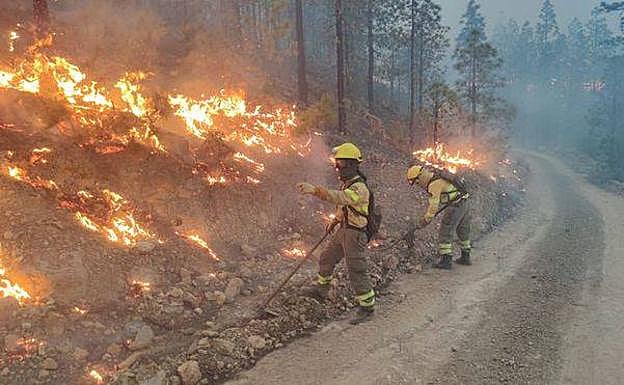 300.000 euros para paliar los daños del incendio de Arico