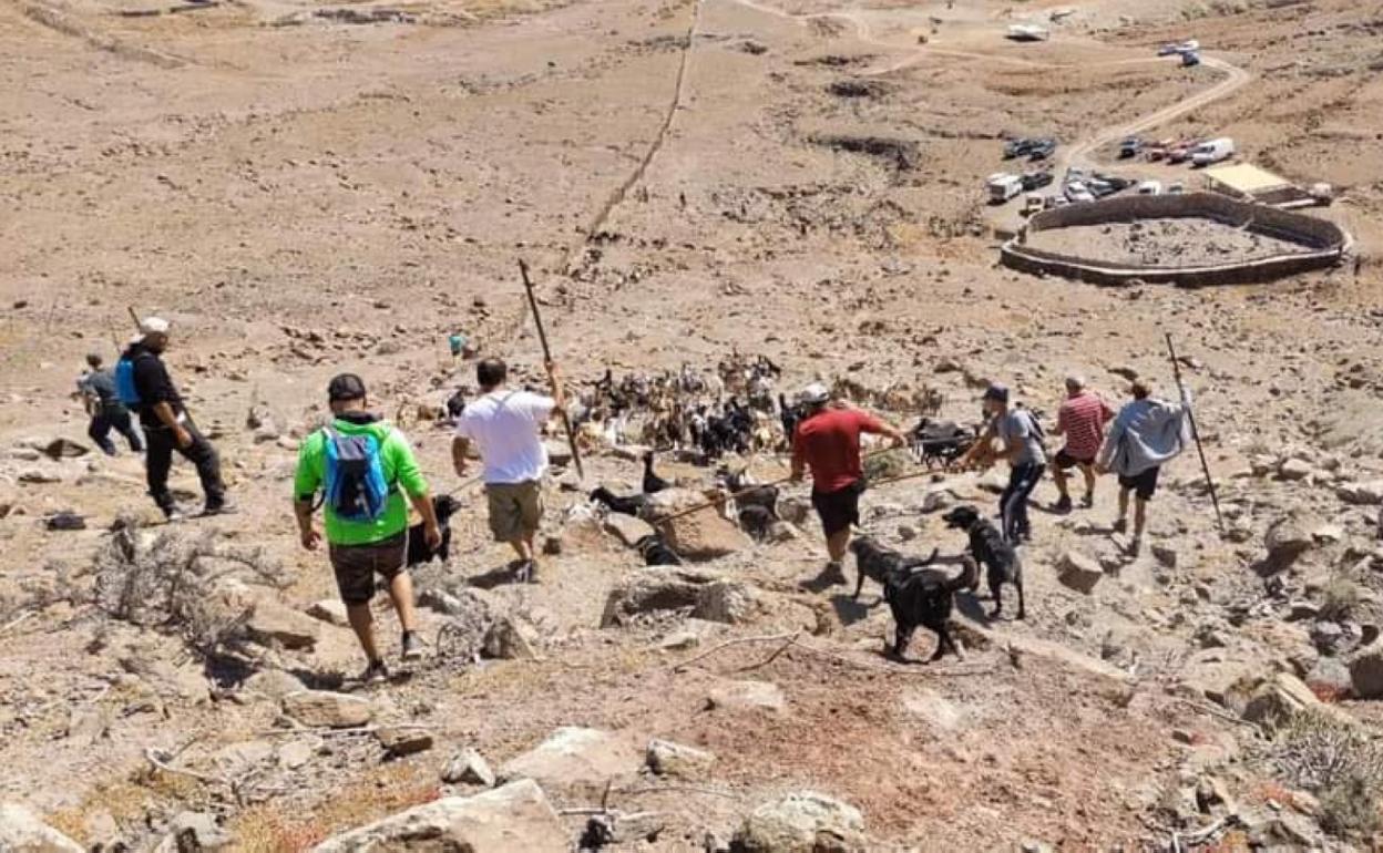 Bardinos y latas ayudan en las apañadas. 