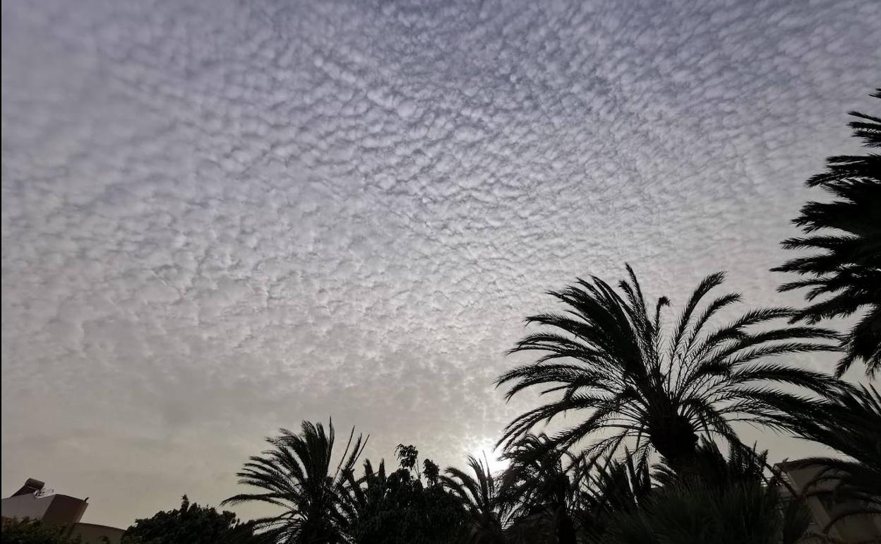 Imagen de las nubes en el cielo de Canarias hoy, provocadas por la calima y el calor. 