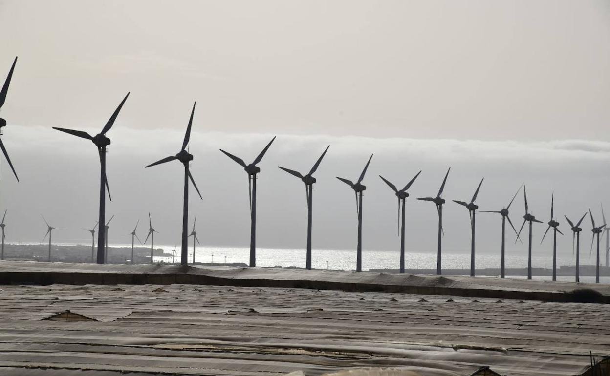 Sanidad activa avisos de riesgo para la salud ante la llegada de una nueva ola de calor
