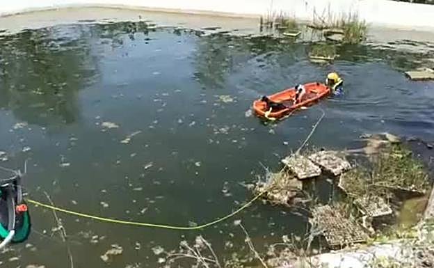 Los Bomberos rescatan a tres cachorros arrojados a un estanque en Guía
