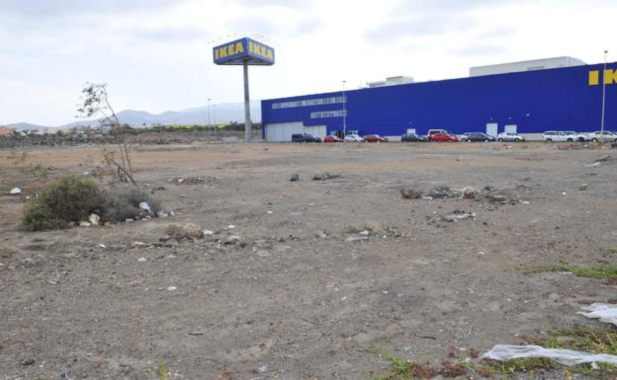 Vista de una de las parcelas de La Mareta que fueron adjudicadas en 2003, pero en ellas nunca se hizo nada. 