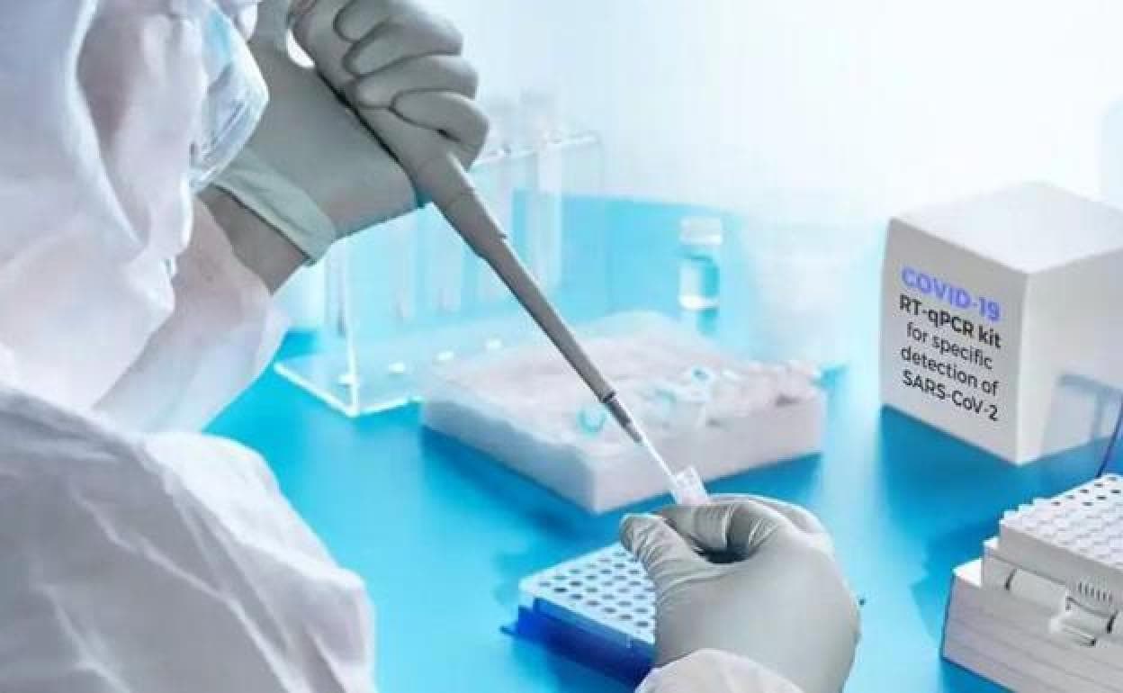 Un especialista en microbiología analiza los resultados de un PCR. 