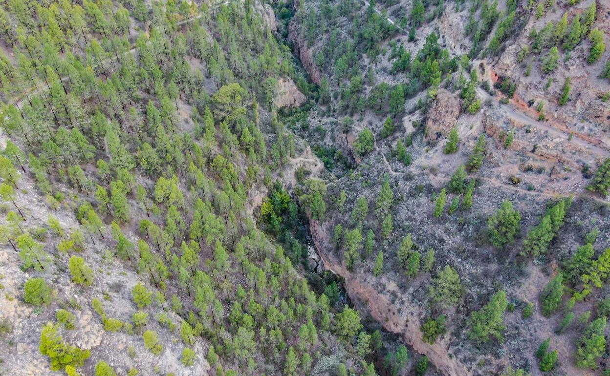 Imagen de archivo del lugar donde se ha iniciado el fuego. 