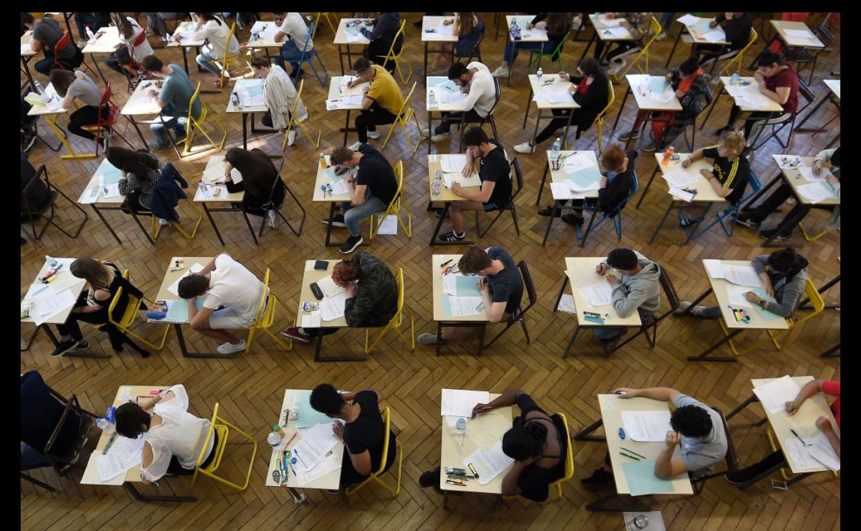 Encuesta: ¿Está de acuerdo con que en las oposiciones primen los casos prácticos frente a la teoría?