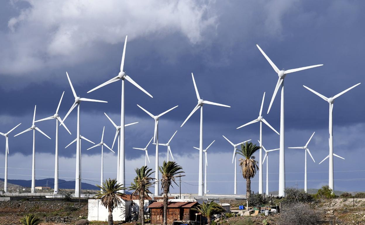 El viento generó durante 78 horas más del 33% del consumo eléctrico insular